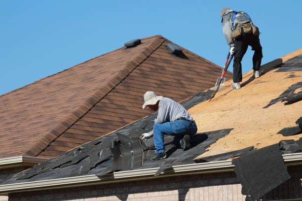 Best Tile Roofing Installation  in Thoreau, NM