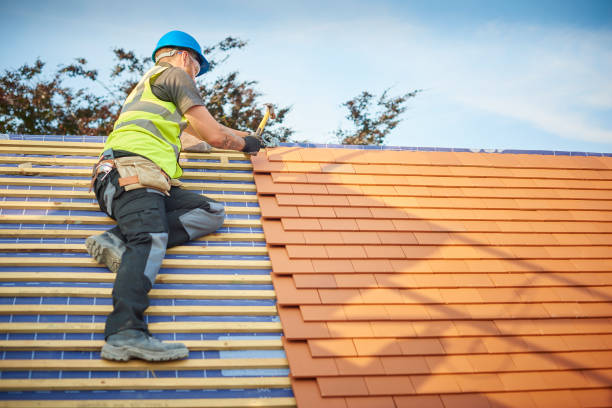 Best Metal Roofing Installation  in Thoreau, NM